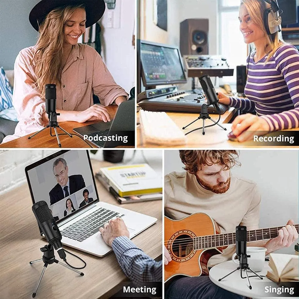 Professional Studio Microphone