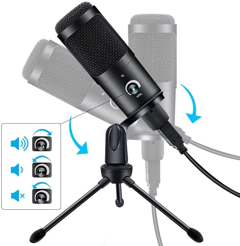 Professional Studio Microphone