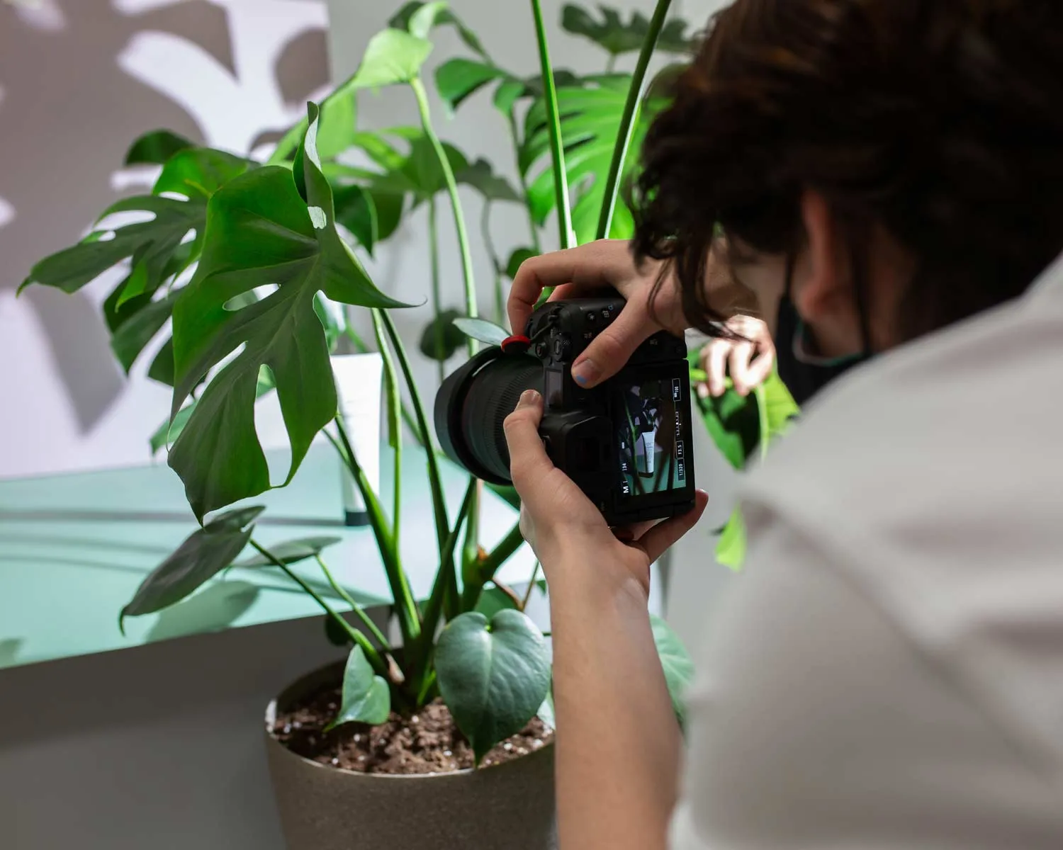 'Sun Creator' DIY Flat Lay Lighting Kit for Instagram & Pinterest