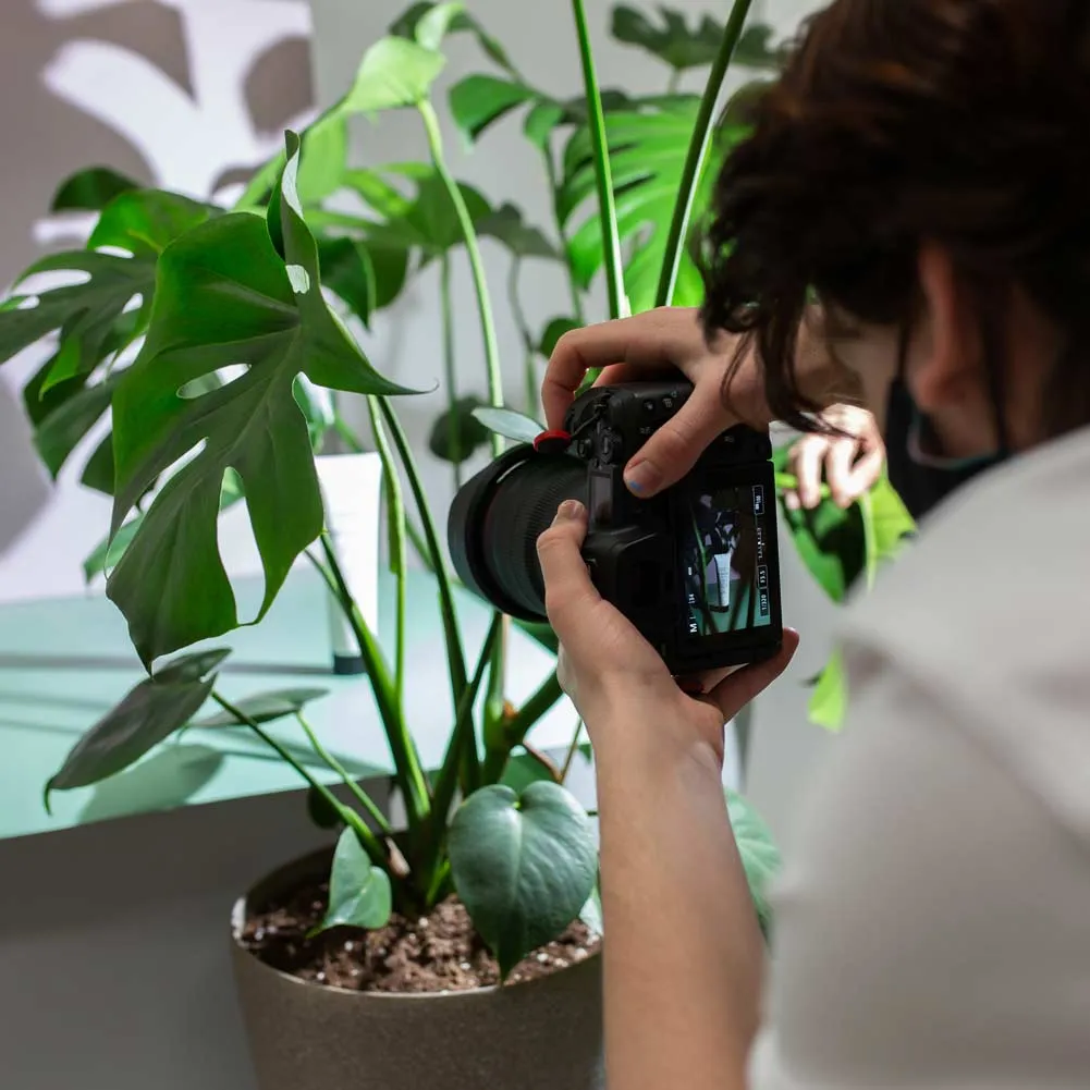 'Sun Creator' DIY Flat Lay Lighting Kit for Instagram & Pinterest