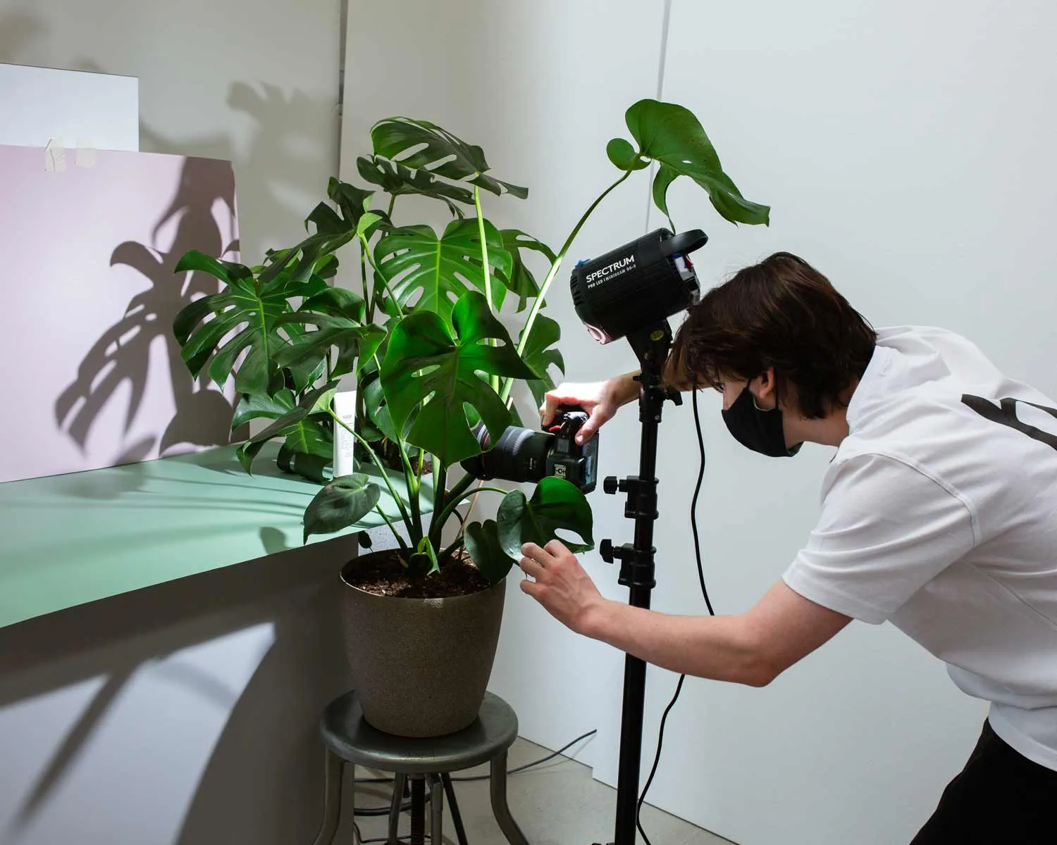 'Sun Creator' DIY Flat Lay Lighting Kit for Instagram & Pinterest