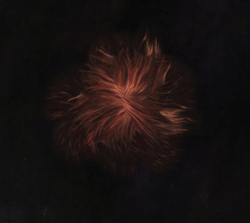 The Seer