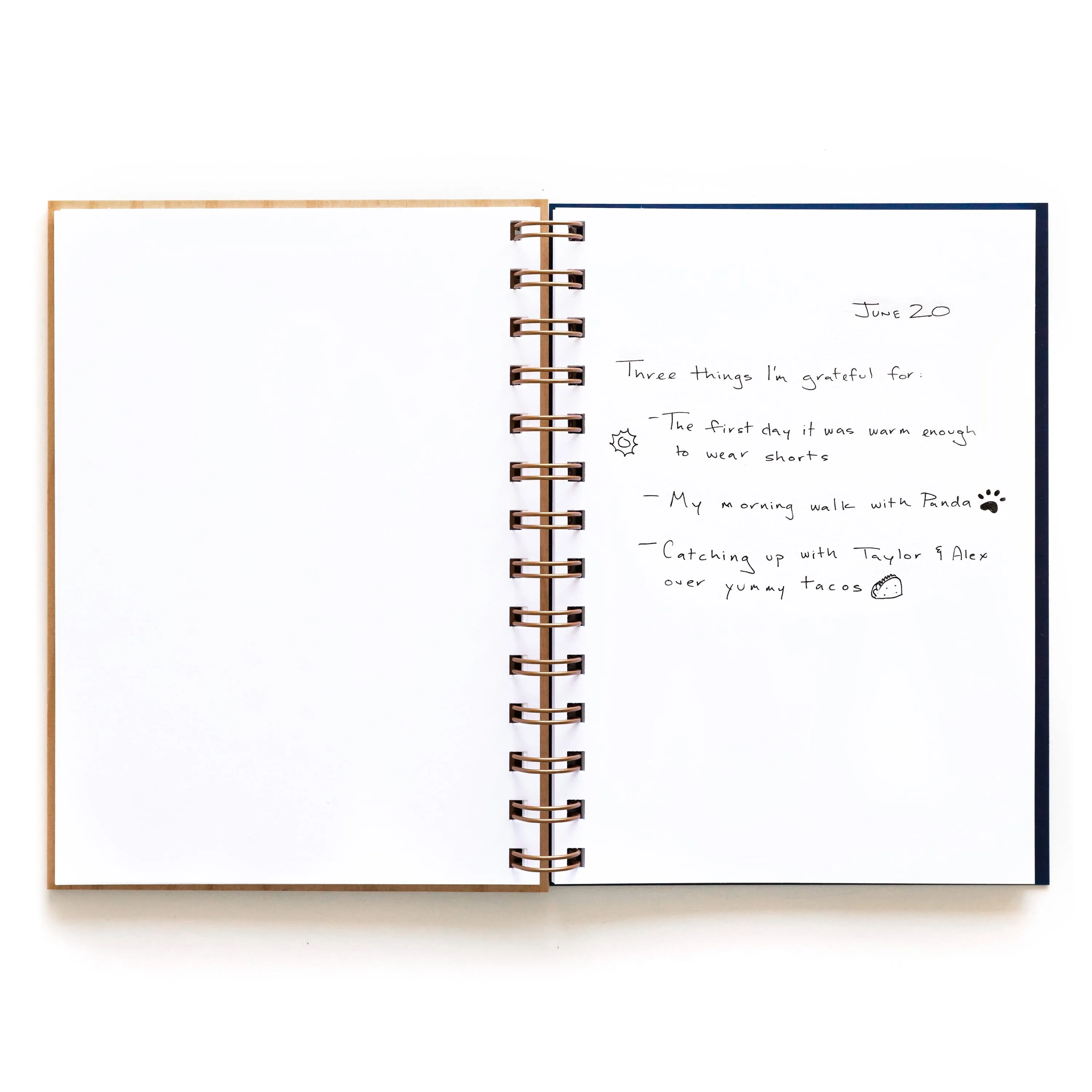 Tidepools Journal