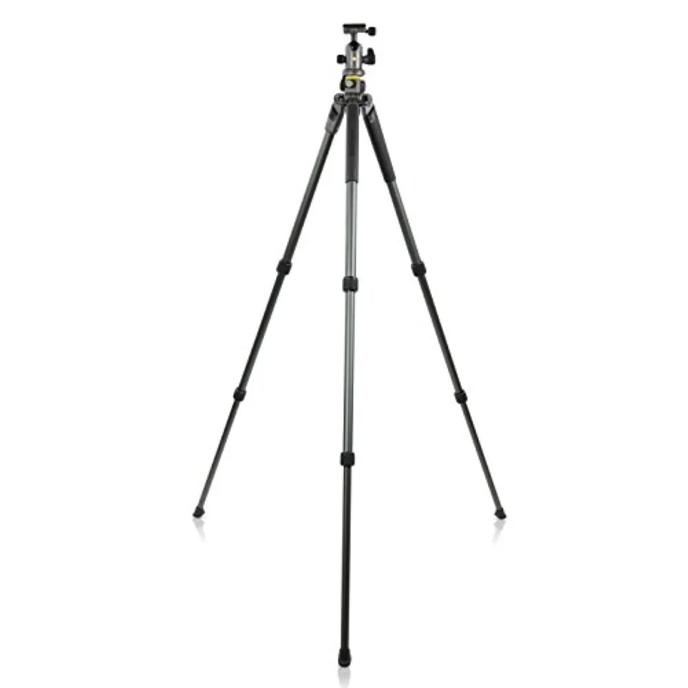 Vanguard Alta Pro 2  263AB100 Aluminum-Alloy Tripod Kit with Alta BH-100 Ball Head