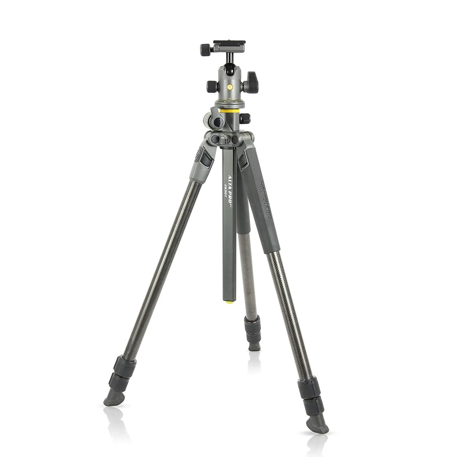 Vanguard Alta Pro 2  263CB 100 Carbon Fiber Trpod with Alta BH-100