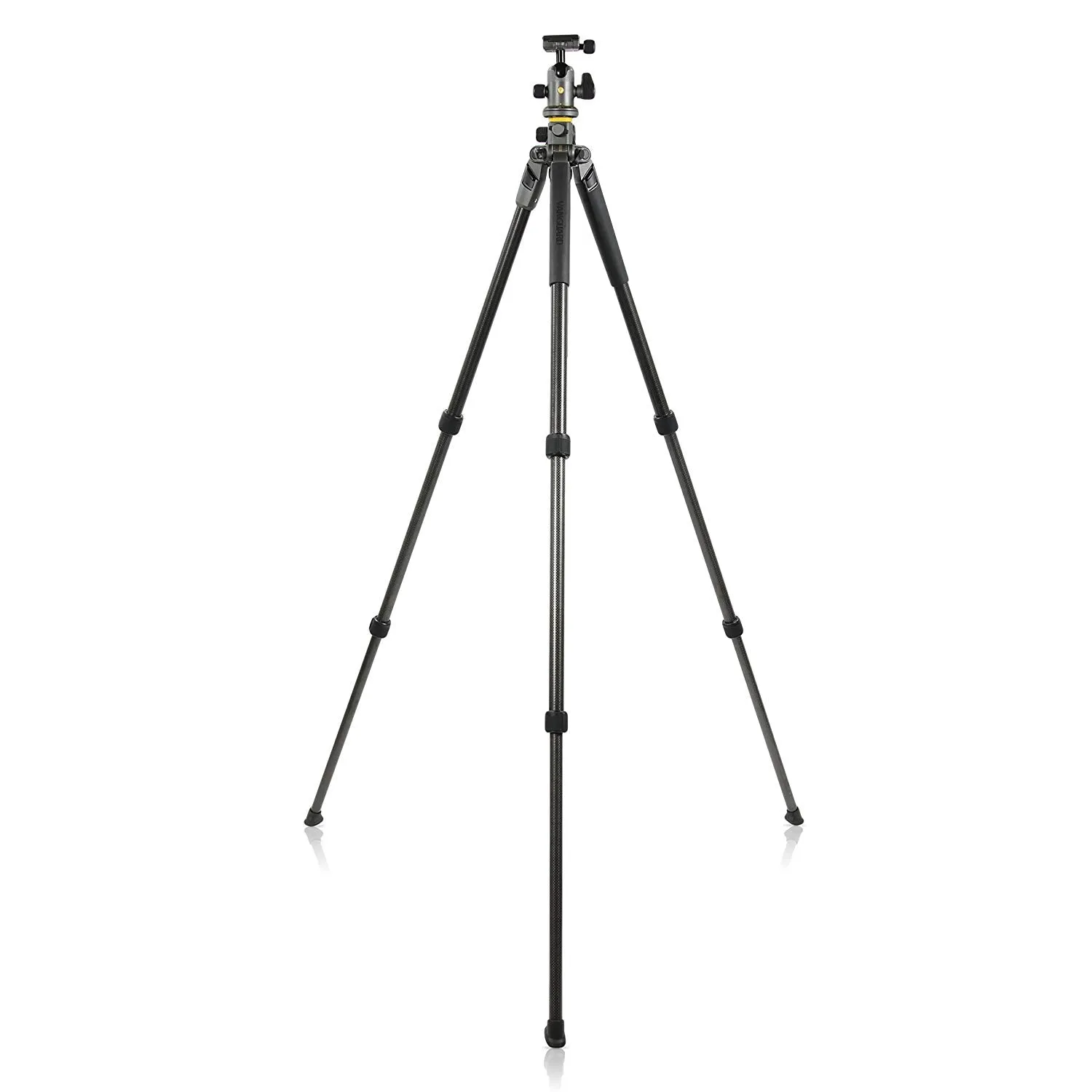 Vanguard Alta Pro 2  263CB 100 Carbon Fiber Trpod with Alta BH-100