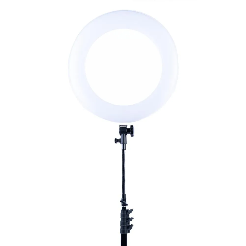 White 18" LED Ring Light & Remote - Gold Luxe III